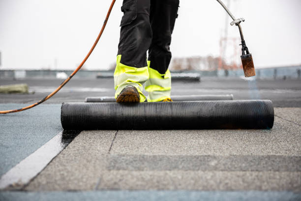 Best Roof Coating and Sealing  in Bucyrus, OH