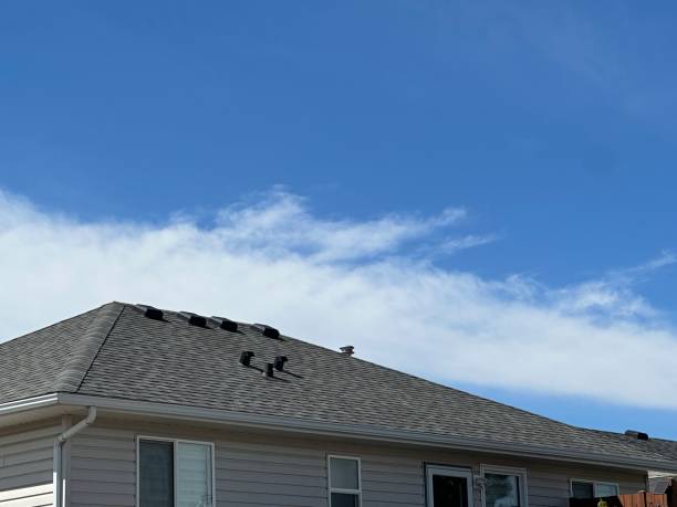 Best Gutter Installation and Repair  in Bucyrus, OH